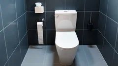 Zatvárajte poklop toalety zakaždým: nečakané dôvody, o ktorých vie len málokto