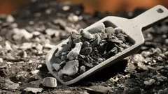 Aký popol je najlepší na hnojenie rastlín: zapamätajte si tipy skúsených záhradníkov