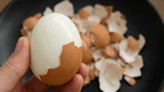 Ako uvariť vajcia tak, aby sa škrupina ľahko lúpla: podrobný profesionálny postup