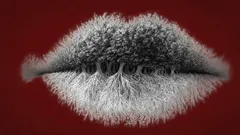 Čo ste na obrázku uvideli ako prvé? Tento jednoduchý test ukáže, či ste introvert, extrovert alebo ambivert.